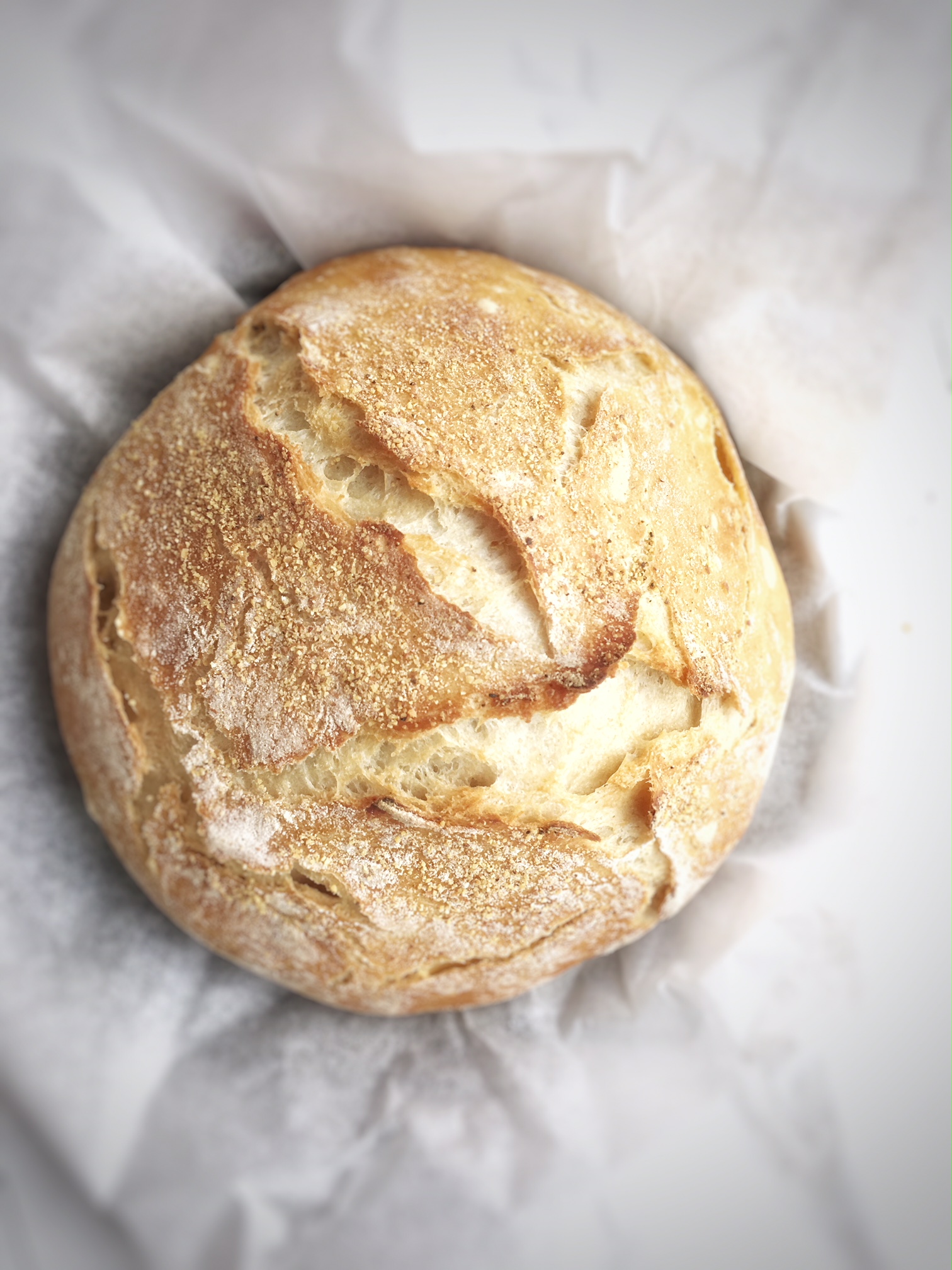 Selbstgemachtes Brot ohne Kneten (Brot Rezept) - Die Dampfgarerin