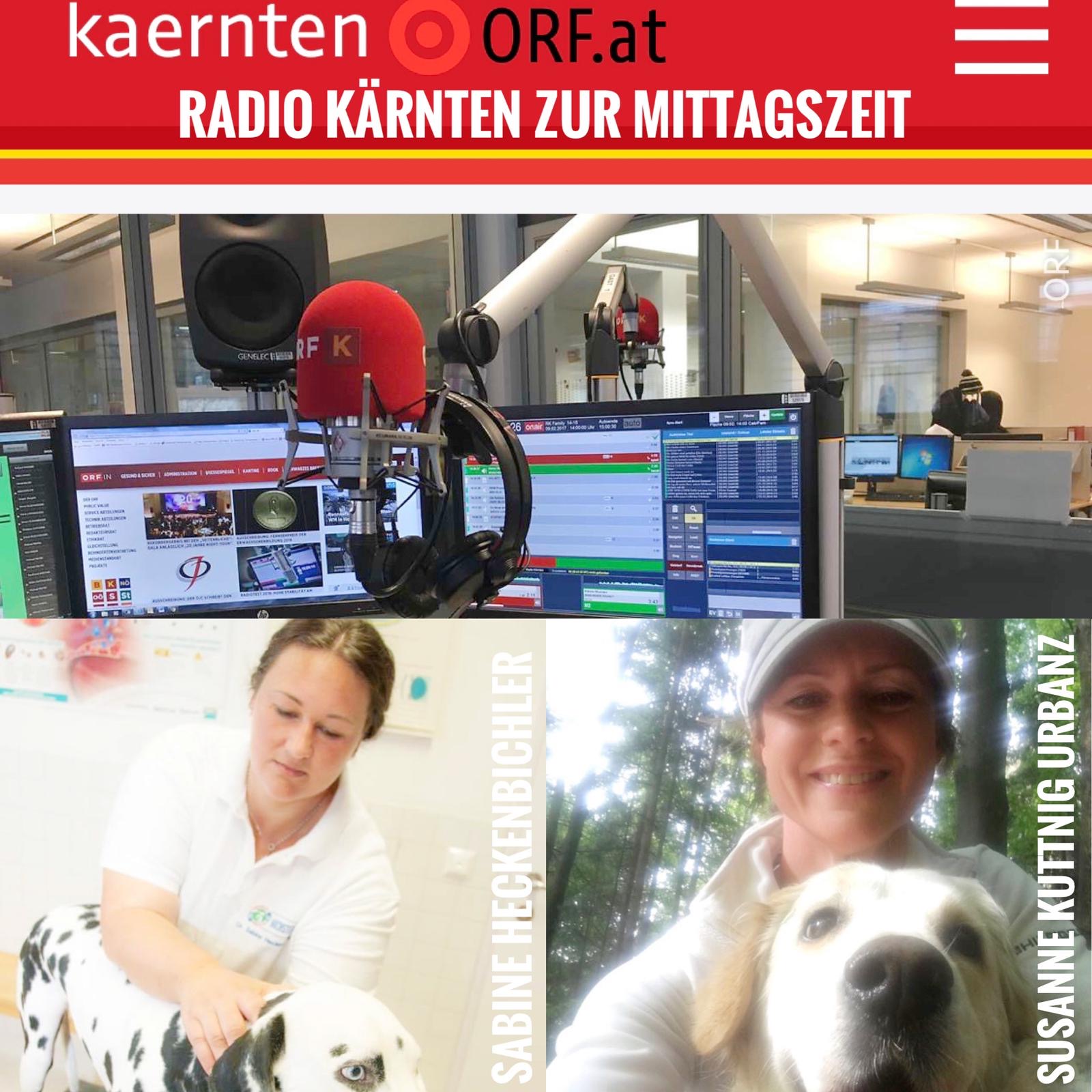 NAPFGAREN bei "Radio Kärnten" zur Mittagszeit! Die